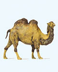 023-29506 - 1:87 - Kamel