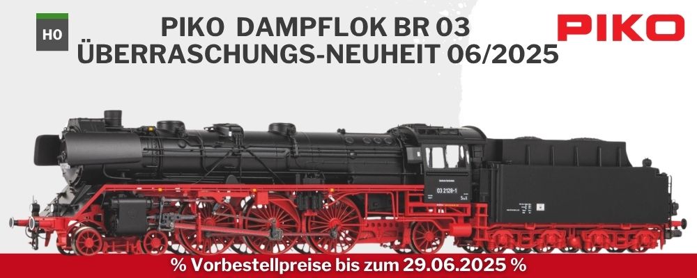 Piko-Überraschungs-Neuheiten-06-2025