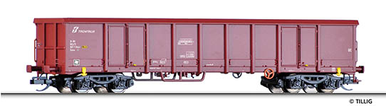 010-15674 - TT Offener Güterwagen Eanos der FS Trenitalia, Ep. VI