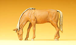023-47023 - Pferd weidend