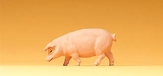 023-47046 - Schwein gehend