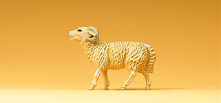 023-47056 - Widder blökend