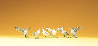 023-47084 - 6 Tauben