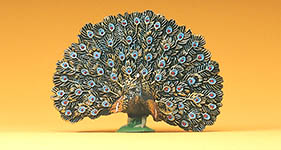 023-47088 - Pfau radschlagend