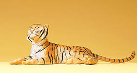 023-47510 - Tiger liegend