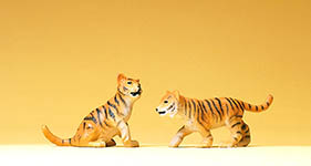 023-47513 - 2 junge Tiger