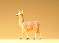 023-47528 - Lama jung