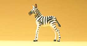 023-47530 - Zebrafohlen