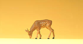 023-47703 - Hirschkalb