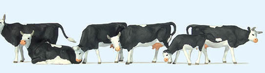 023-73013 - 1:76 - Kühe