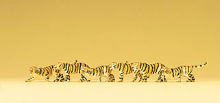 023-79714 - 1:160 - Tiger