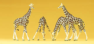 023-79715 - 1:160 - Giraffen