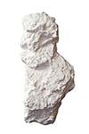 030-61231