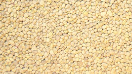 034-23104 - 1:32 Kartoffeln, 100g