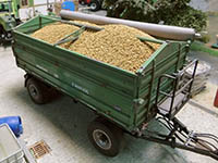 034-23308 - 1:32 Getreidekörner, 150g