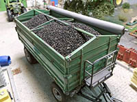 034-23310 - 1:32 Rapskörner, 100g