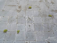 034-23389 - 1:32/35 Hofplatten klein 35x35mm, 20x