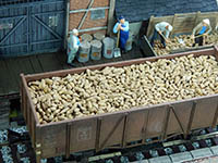 034-24095 - 1:45 Zuckerrüben, 100g