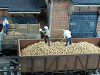 034-24099 - 1:45 Kartoffeln, 150g