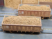 034-28077 - 1:87 Zuckerrüben, 20g