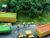 034-28121 - 1:87 Äpfel grün, 75g