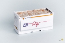  Z70046 - Z - Container CD Cargo